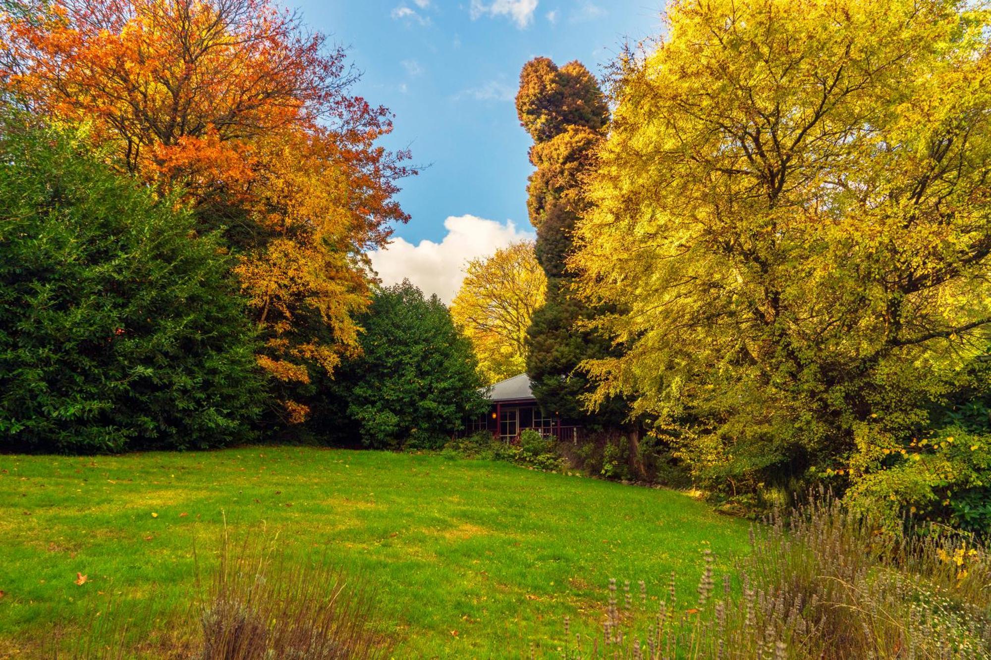 Observatory Cottages Mount Dandenong Cameră foto